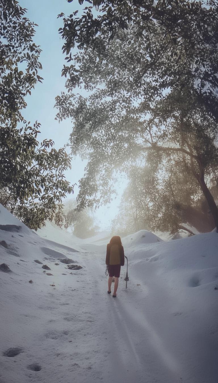 抖音涨粉要不要花钱_抖音增粉需付费？插图